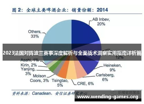 2023法国对阵波兰赛事深度解析与全面战术洞察实用指南详析篇 2023法国对阵波兰赛事深度解析与全面战术洞察实用指南详析篇